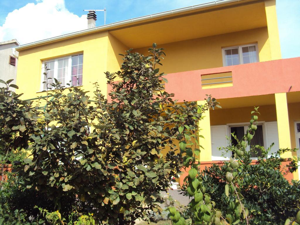 Apartments Mira 比奥格勒·纳·莫鲁 外观 照片